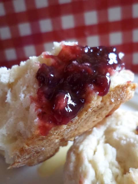 Big Batch Sourdough Biscuits big batch sourdough biscuits