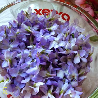 violet vinegar
