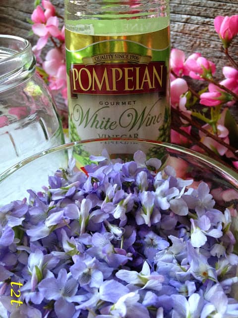 violet vinegar