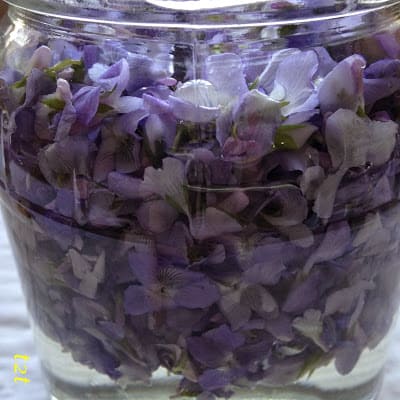violet vinegar