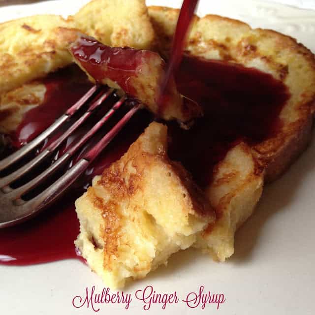 Mulberry Ginger Syrup syrup